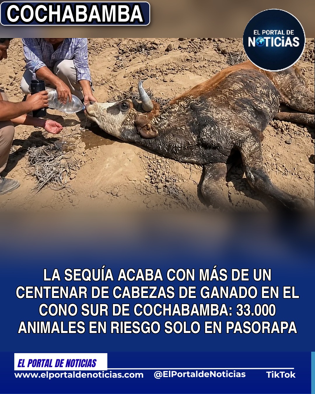 La sequía acaba con más de un centenar de cabezas de ganado en el cono sur de Cochabamba
