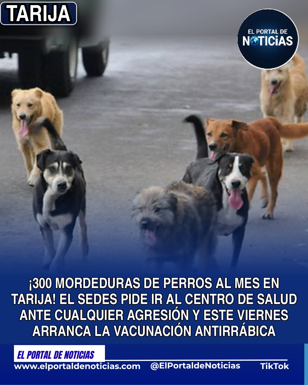 Mordeduras de perros y campaña de vacunación antirrábica en Tarija