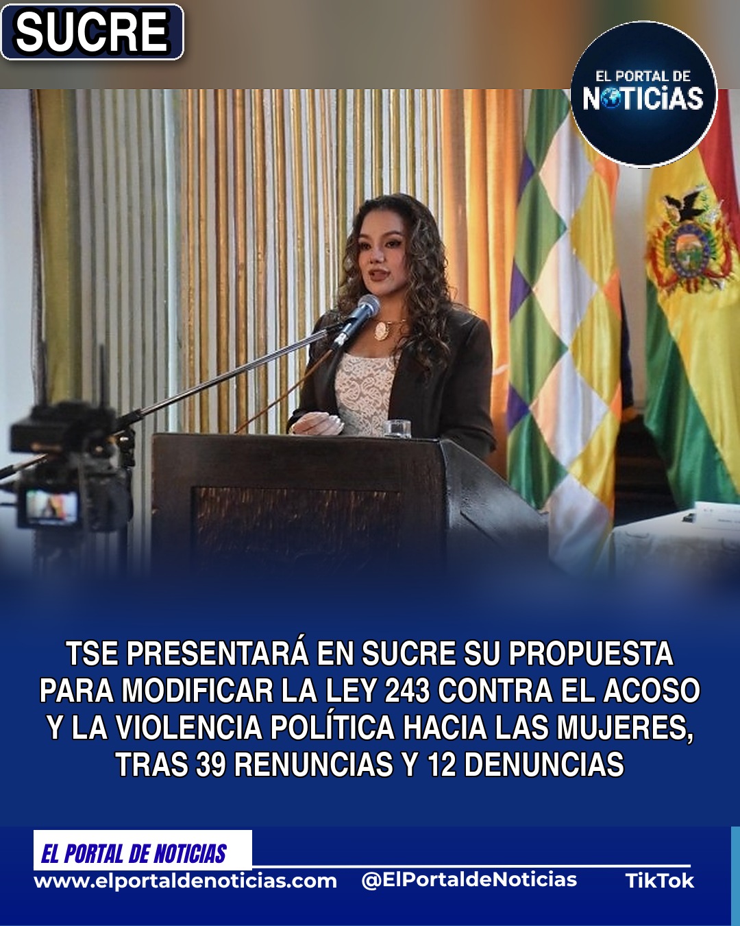 TSE Ley 243 acoso y violencia política